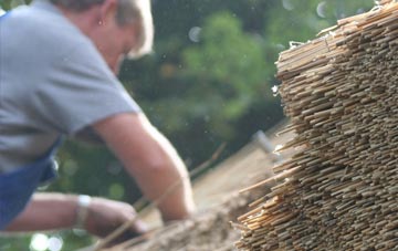 professional Back Rogerton thatchers